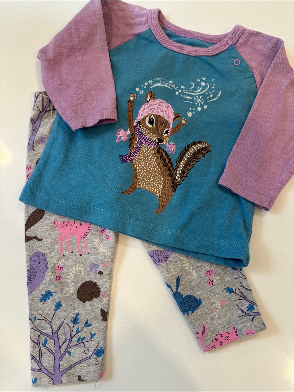 Hatley Teal and Lavender Woodland Critter Matching Set